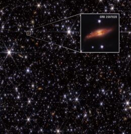 GRB 250702 host galaxy