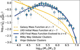 mass functions of little red dots and globular clusters