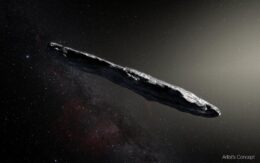 artist's impression of Oumuamua