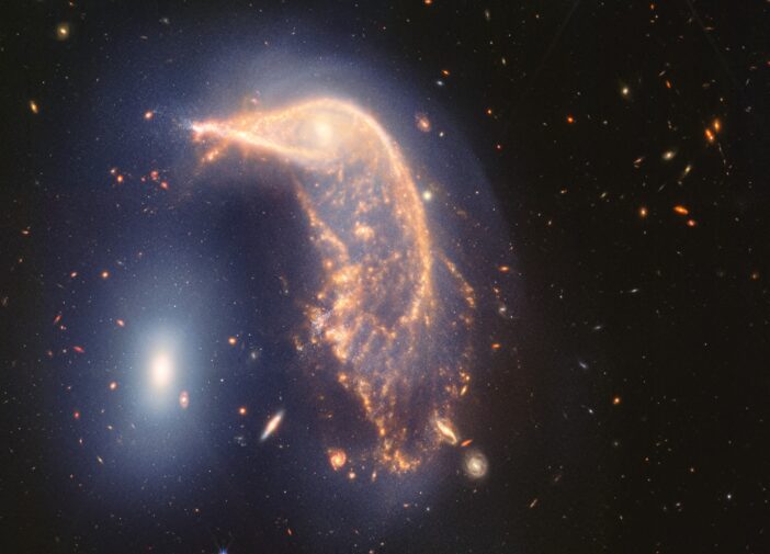 Arp 142