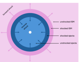 diagram of a supernova's shocks
