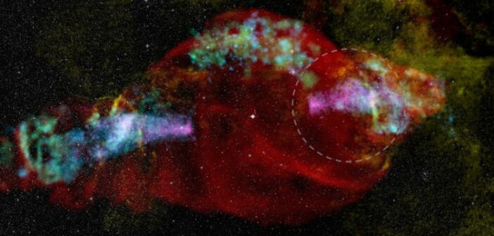 multiwavelength view of SS 433 / W50