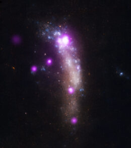 SN 2010jl in its host galaxy