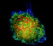 three-dimensional reconstruction of the Crab Nebula