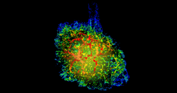 three-dimensional reconstruction of the Crab Nebula