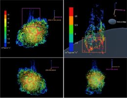 three-dimensional representation of the Crab Nebula