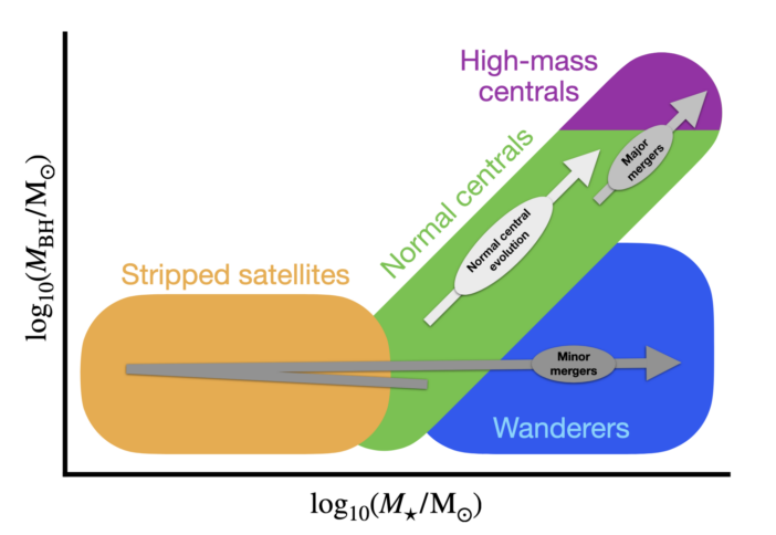 diagram showing the distinct populations revealed by the black hole mass–stellar mass relation