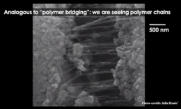 photograph of polymer chains connecting two particles