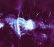filaments in the galactic center