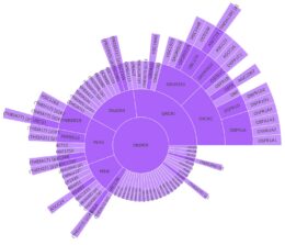 visualization of stellar association hierarchies